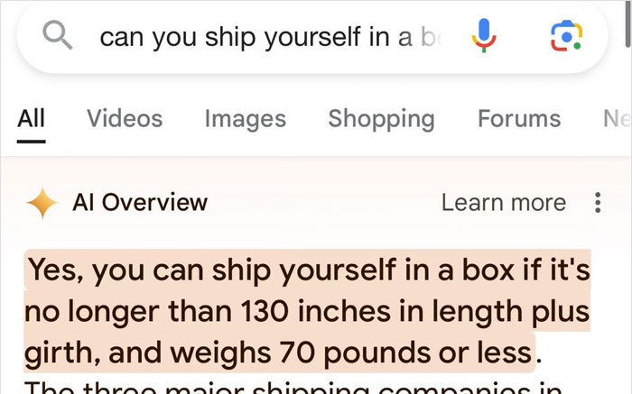 Screenshot of Google AI claiming you can ship yourself in a box.